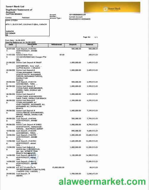 Pakistan Soneri Bank statement of account Word and PDF template
